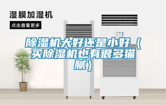 小黄片软件免费下载大好還是小好（買小黄片软件免费下载也有很多貓膩）