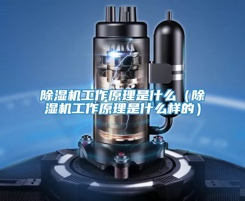 小黄片软件免费下载工作原理是什麽（小黄片软件免费下载工作原理是什麽樣的）