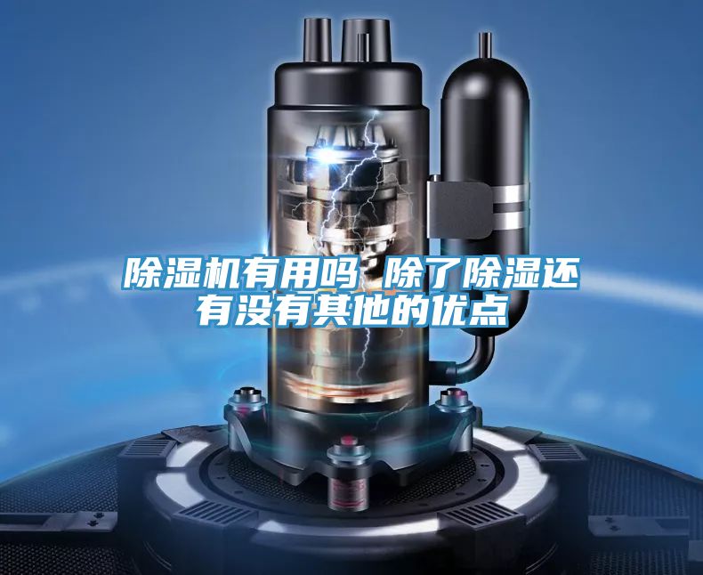小黄片软件免费下载有用嗎 除了除濕還有沒有其他的優點