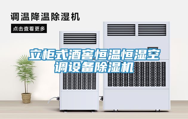 立櫃式酒窖恒溫恒濕空調設備小黄片软件免费下载