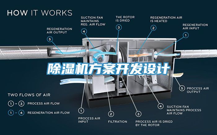 小黄片软件免费下载方案開發設計