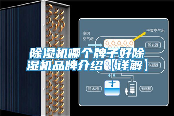 小黄片软件免费下载哪個牌子好小黄片软件免费下载品牌介紹【詳解】