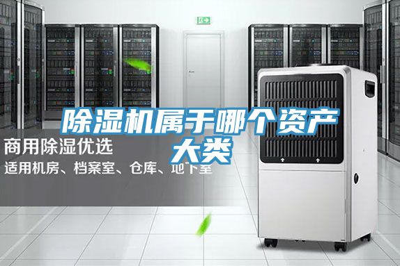 小黄片软件免费下载屬於哪個資產大類