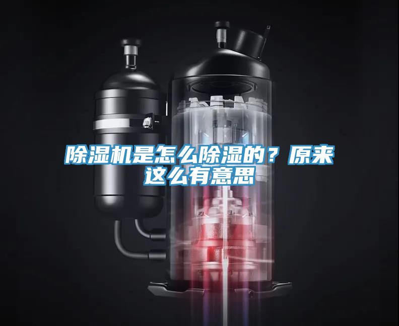 小黄片软件免费下载是怎麽除濕的？原來這麽有意思