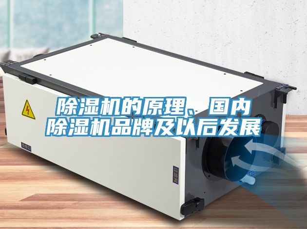 小黄片软件免费下载的原理、國內小黄片软件免费下载品牌及以後發展