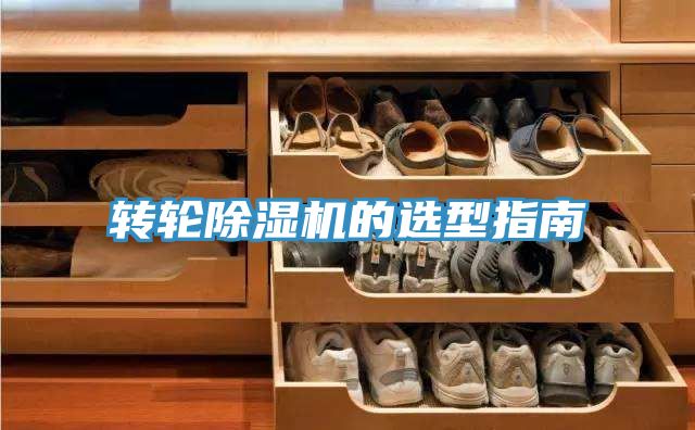 轉輪小黄片软件免费下载的選型指南