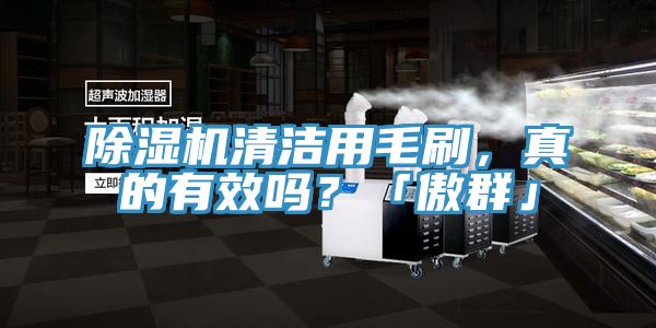 小黄片软件免费下载清潔用毛刷，真的有效嗎？「傲群」