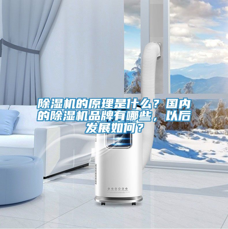 小黄片软件免费下载的原理是什麽？國內的小黄片软件免费下载品牌有哪些，以後發展如何？