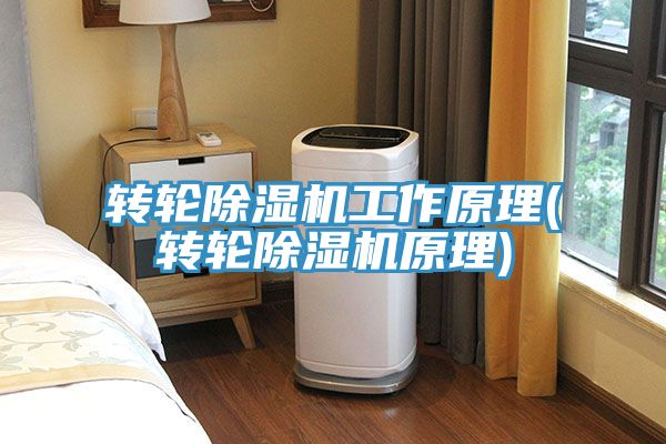 轉輪小黄片软件免费下载工作原理(轉輪小黄片软件免费下载原理)