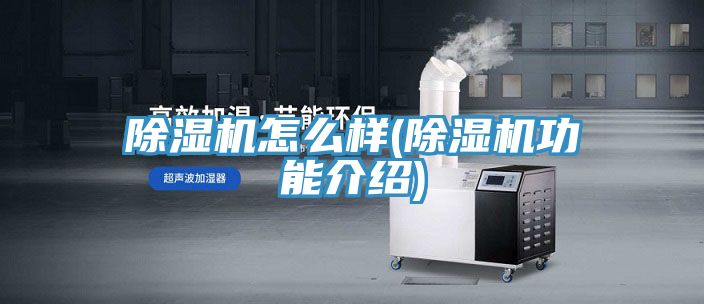 小黄片软件免费下载怎麽樣(小黄片软件免费下载功能介紹)