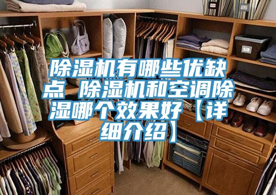 小黄片软件免费下载有哪些優缺點 小黄片软件免费下载和空調除濕哪個效果好【詳細介紹】