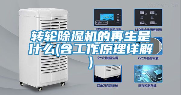 轉輪小黄片软件免费下载的再生是什麽(含工作原理詳解)