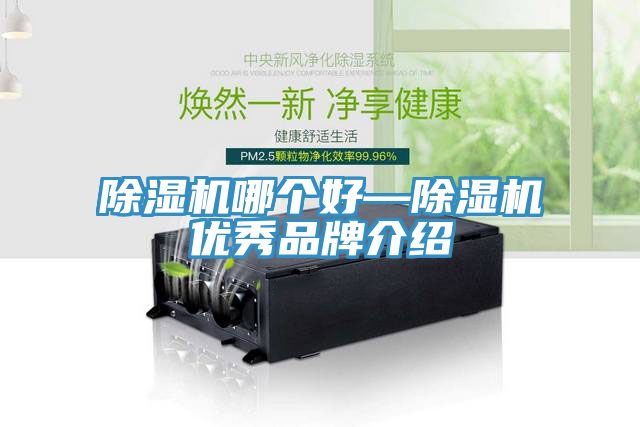 小黄片软件免费下载哪個好—小黄片软件免费下载優秀品牌介紹