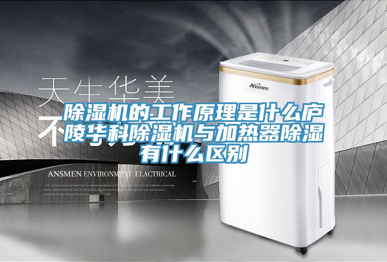 小黄片软件免费下载的工作原理是什麽廬陵華科小黄片软件免费下载與加熱器除濕有什麽區別