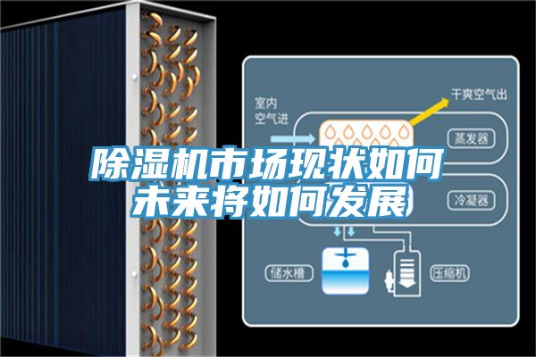 小黄片软件免费下载市場現狀如何未來將如何發展