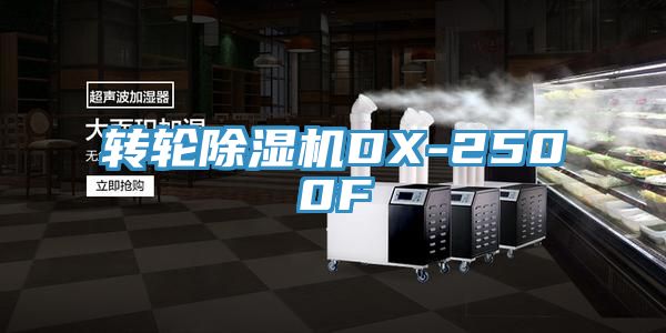 轉輪小黄片软件免费下载DX-2500F