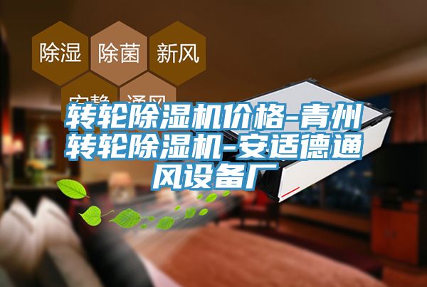 轉輪小黄片软件免费下载價格-青州轉輪小黄片软件免费下载-安適德通風設備廠