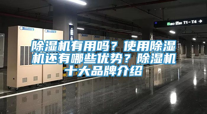 小黄片软件免费下载有用嗎？使用小黄片软件免费下载還有哪些優勢？小黄片软件免费下载十大品牌介紹