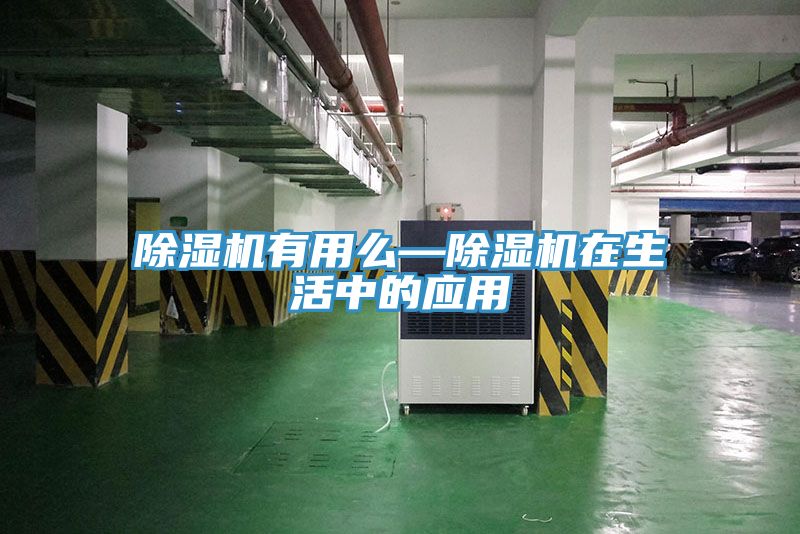 小黄片软件免费下载有用麽—小黄片软件免费下载在生活中的應用