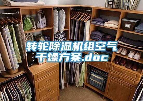 轉輪小黄片软件免费下载組空氣幹燥方案.doc