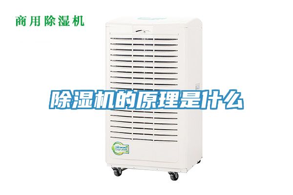 小黄片软件免费下载的原理是什麽