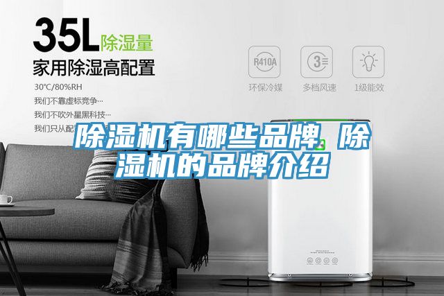 小黄片软件免费下载有哪些品牌 小黄片软件免费下载的品牌介紹