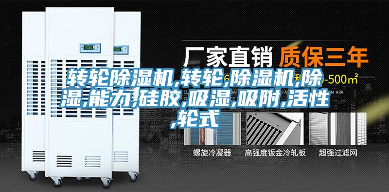 轉輪小黄片软件免费下载,轉輪,小黄片软件免费下载,除濕,能力,矽膠,吸濕,吸附,活性,輪式