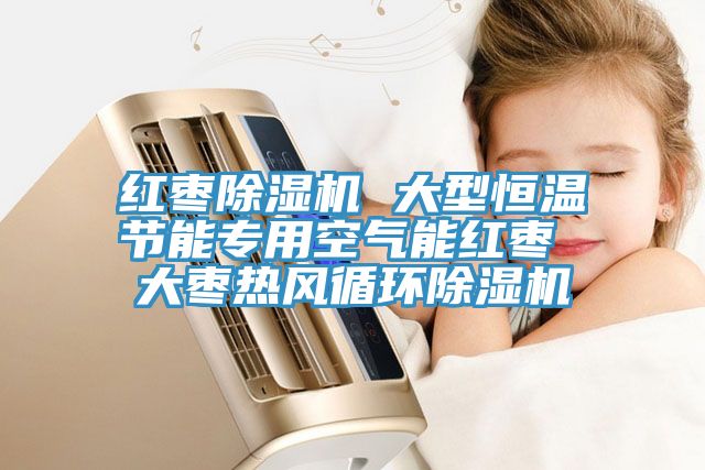 紅棗小黄片软件免费下载 大型恒溫節能專用空氣能紅棗 大棗熱風循環小黄片软件免费下载