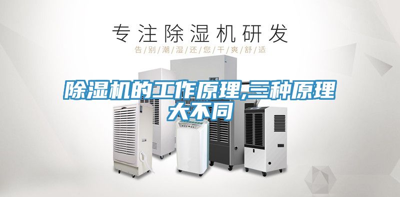 小黄片软件免费下载的工作原理,三種原理大不同