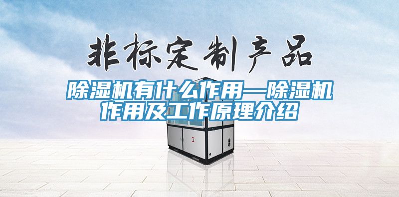 小黄片软件免费下载有什麽作用—小黄片软件免费下载作用及工作原理介紹