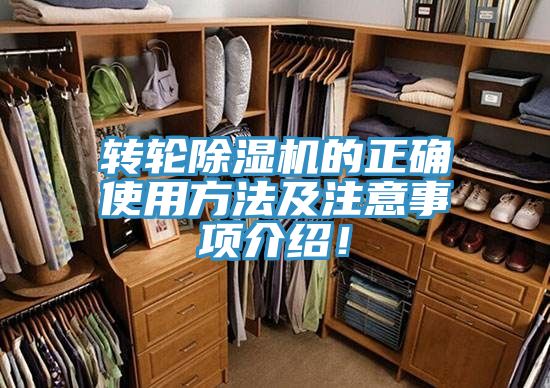 轉輪小黄片软件免费下载的正確使用方法及注意事項介紹！