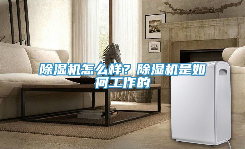 小黄片软件免费下载怎麽樣？小黄片软件免费下载是如何工作的