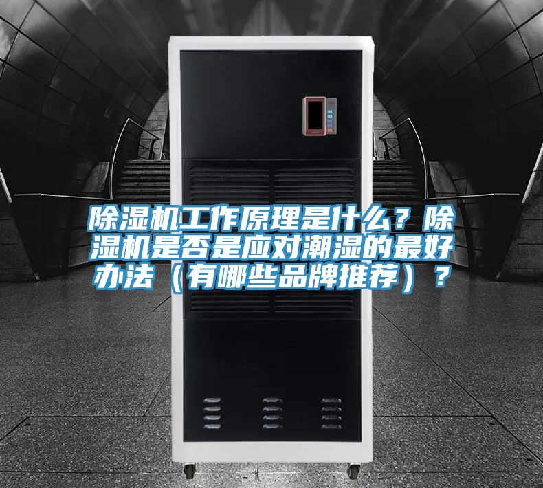 小黄片软件免费下载工作原理是什麽？小黄片软件免费下载是否是應對潮濕的最好辦法（有哪些品牌推薦）？