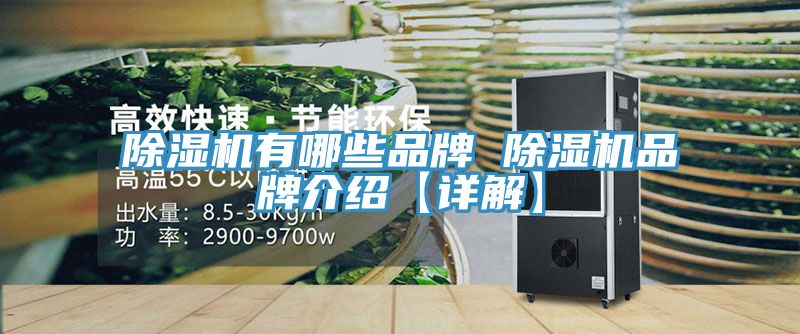 小黄片软件免费下载有哪些品牌 小黄片软件免费下载品牌介紹【詳解】