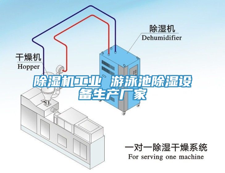 小黄片软件免费下载工業 遊泳池除濕設備生產廠家