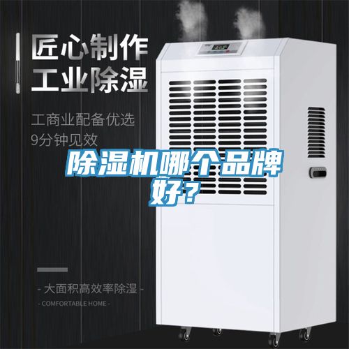 小黄片软件免费下载哪個品牌好？