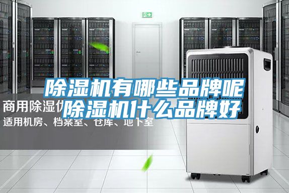 小黄片软件免费下载有哪些品牌呢 小黄片软件免费下载什麽品牌好