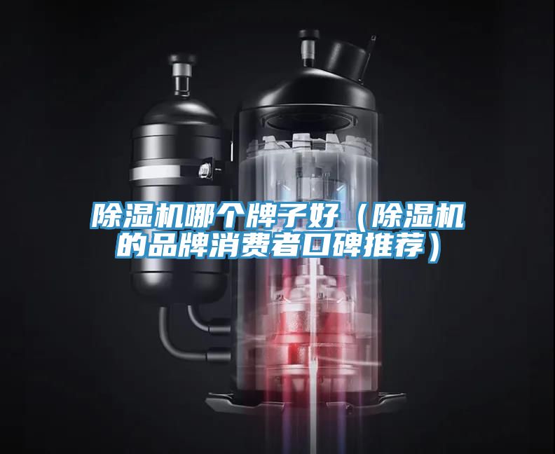 小黄片软件免费下载哪個牌子好（小黄片软件免费下载的品牌消費者口碑推薦）