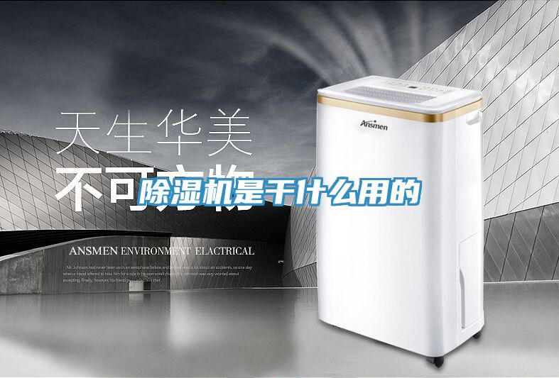 小黄片软件免费下载是幹什麽用的