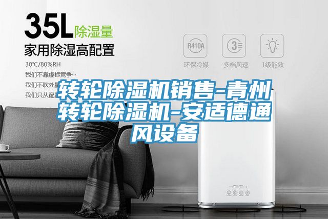 轉輪小黄片软件免费下载銷售-青州轉輪小黄片软件免费下载-安適德通風設備
