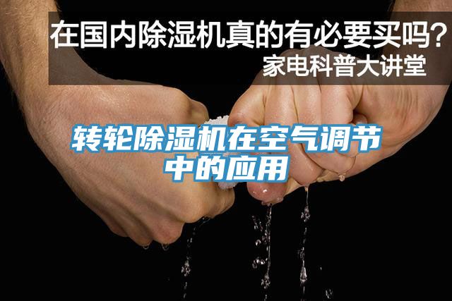 轉輪小黄片软件免费下载在空氣調節中的應用