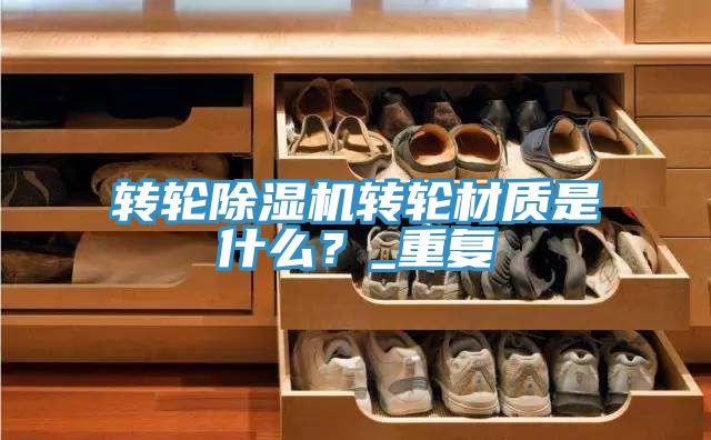 轉輪小黄片软件免费下载轉輪材質是什麽？_重複