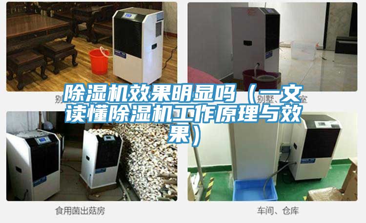 小黄片软件免费下载效果明顯嗎（一文讀懂小黄片软件免费下载工作原理與效果）