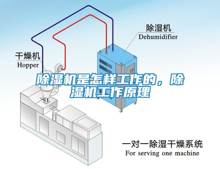 小黄片软件免费下载是怎樣工作的，小黄片软件免费下载工作原理