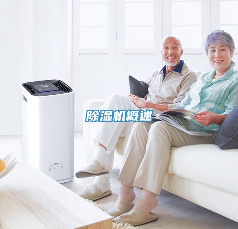 小黄片软件免费下载概述
