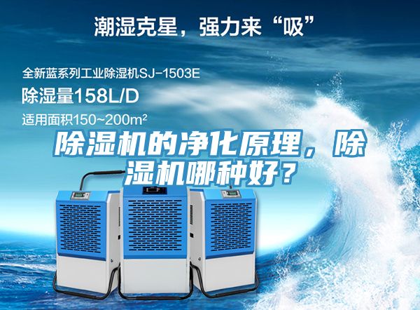 小黄片软件免费下载的淨化原理，小黄片软件免费下载哪種好？