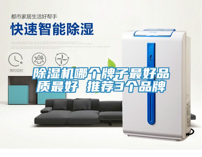 小黄片软件免费下载哪個牌子最好品質最好 推薦3個品牌