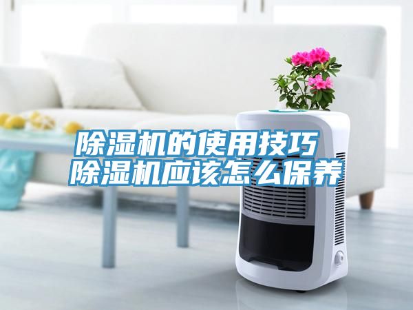 小黄片软件免费下载的使用技巧 小黄片软件免费下载應該怎麽保養