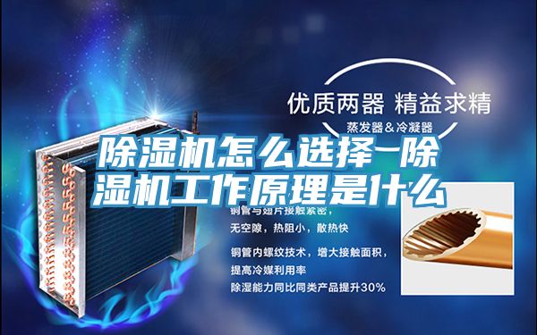 小黄片软件免费下载怎麽選擇 小黄片软件免费下载工作原理是什麽