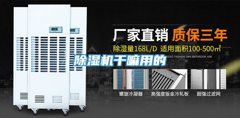 小黄片软件免费下载幹嘛用的